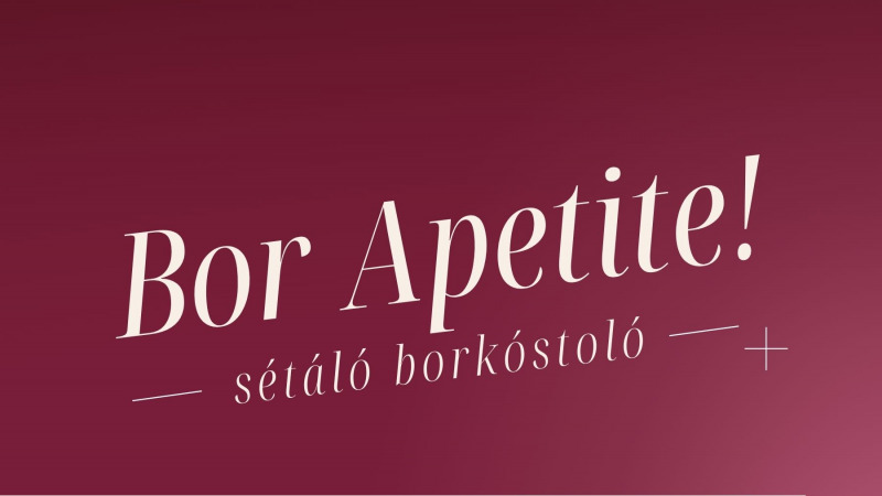 Bor Apetite! - Weinprobe zu Fuß