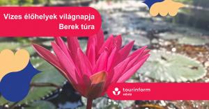 Hévízi Túrák / Berek túra a vizes élőhelyek világnapja alkalmával