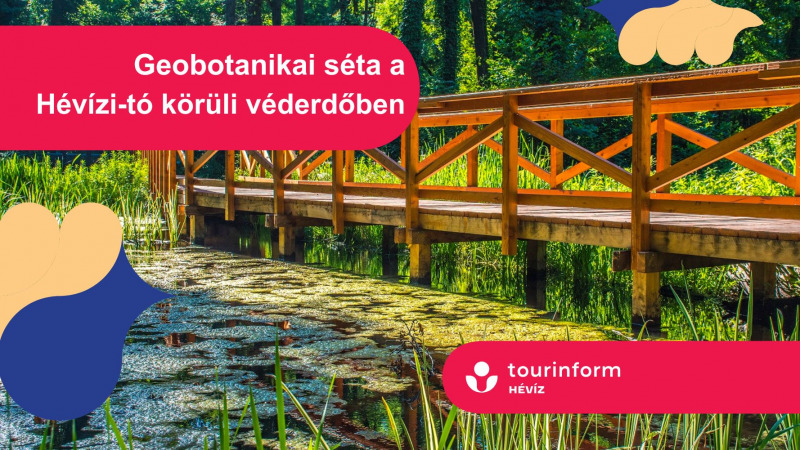 Hévízi Túrák / Berek túra a vizes élőhelyek világnapja alkalmával