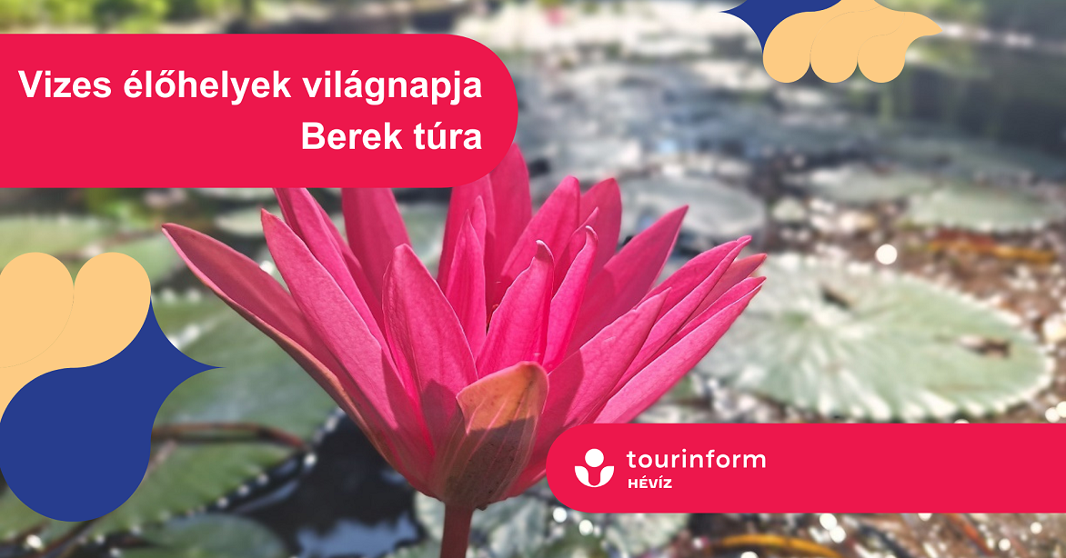 Hévízi Túrák / Berek túra a vizes élőhelyek világnapja alkalmával