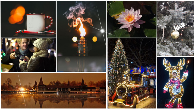 Fackel-stadtführung