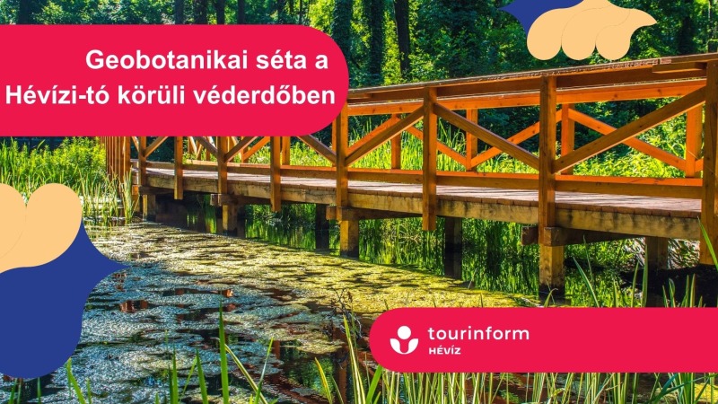 Geobotanikai séta a Hévízi-tó körüli véderdőben (ingyenes)