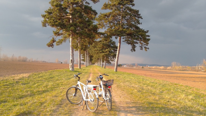 Dupla élmény, e-bike túra Hévízen és Keszthelyen a Festeticsek nyomában