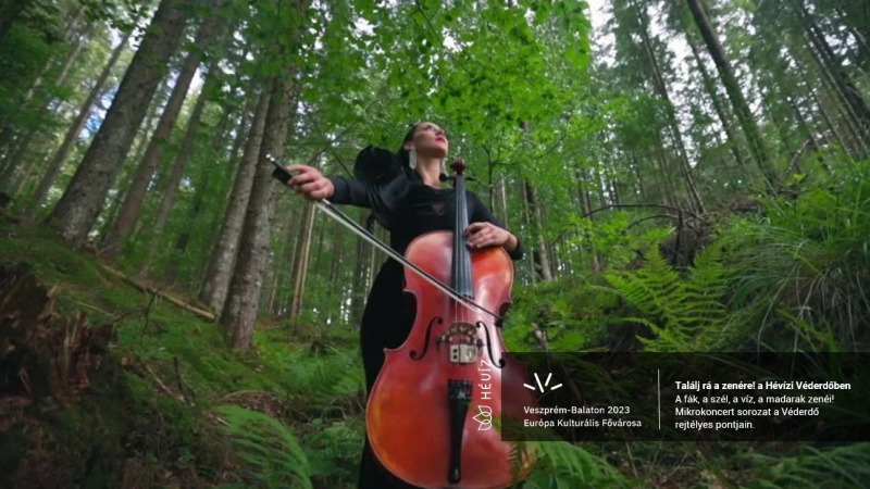 Sound of the woods - microconcerts