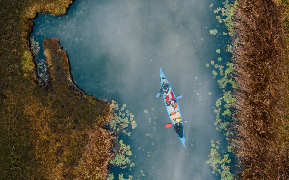 Experience guaranteed