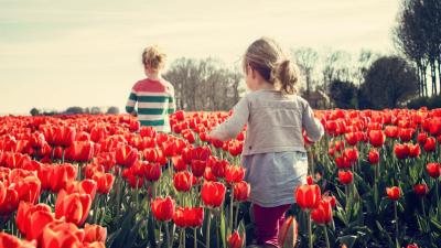 Frühlingsrausch - Mai-Programme in und um Hévíz
