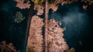 Perfekte Wandergebiete im Herbst rund um den Kis-Balaton!