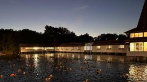 Moonlight Bathing at Lake Hévíz at the end of May