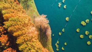 Wir wenden uns dem Herbst zu