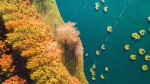 Turning to autumn
