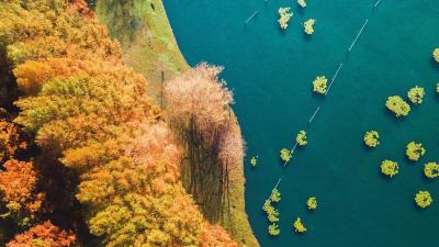 Turning to autumn