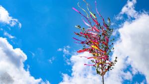 Spring Program Highlights on the First Weekend of May​