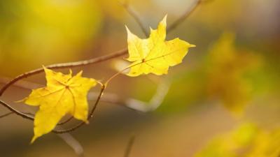 OKTÓBERI PROGRAMAJÁNLÓ HÉVÍZEN ÉS A NYUGAT-BALATONON