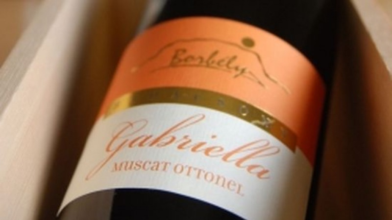'Gabriella' has become the Wine of Town Hévíz