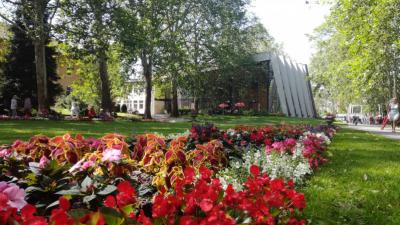 The Park of Lake Hévíz and the Historical Schulhof Promenade Gets Renewed